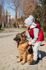 little boy playing with dog labrador in spring park