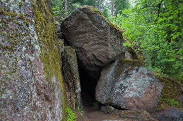 rocks in forest