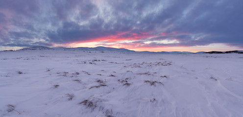 Land of Hope. Arctic tunda location in the Yamal Peninsula. Winter landscape.