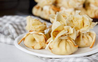 Pancakes stuffed with a bag on a white plate with meat filling
