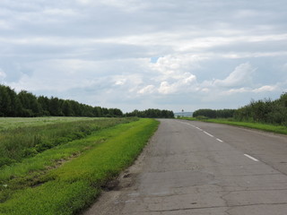 road in the field