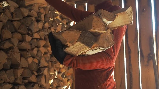 Man carrying firewood logs for heat in winter. Pile of chopped fire wood/ fuel wood. Man living in the countryside, village lifestylw. Downshifter or freelancer living non-urban style.