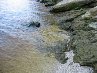 rocks in the water