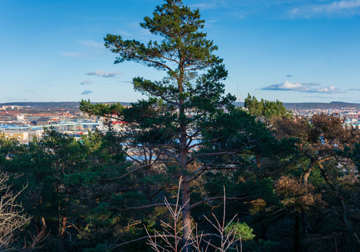 bird eye view of gothenburg city from top of ramberget hill