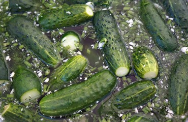 Salted cucumbers