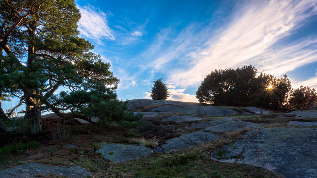 sun rays peeping through bush on top of ramberget hill at gothenburg sweden