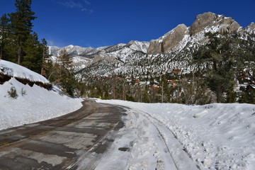 Mount Charleston in Nevada