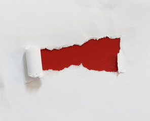 pieces of torn paper texture background, copy space.