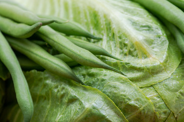 Fresh Raw Organic French Green Beans (Haricot Verts) and Romaine Lettuce leaves like a background.