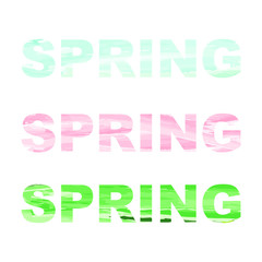 Spring word set. Pink, blue and green textured word "spring", vector image. Isolated wihout background