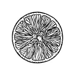 Fruit illustration with Orange slice in engraving stile. Sweet and fresh fruit element for menu, greeting cards, wrapping paper, cosmetics packaging, labels, tags, posters etc