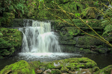 Fototapeta na wymiar McLean Falls at The Catlins, South Island, New Zealand