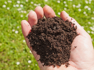 Muttererde, Humus in der Hand
