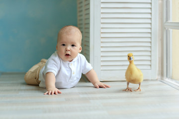 little boy with a small duck. Easter