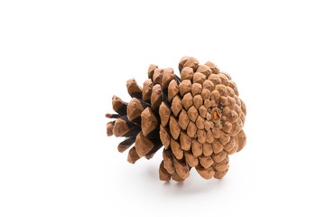Christmas pine cone on white background.