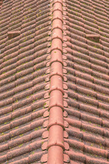 Close up of tiles on a terra-cotta roof, vertical orientation.  