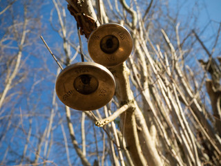 Cymbal sound therapy instrument hanging on a branch with trees and the blue sky in the background