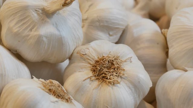 Big beautiful heads of white ripe garlic on the market counter
