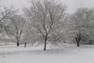 Fototapeta premium Winterlandschaft
