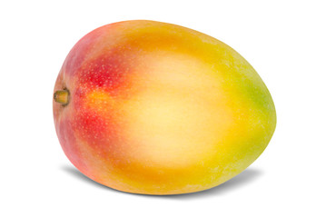 Mango isolated on white - 255533434