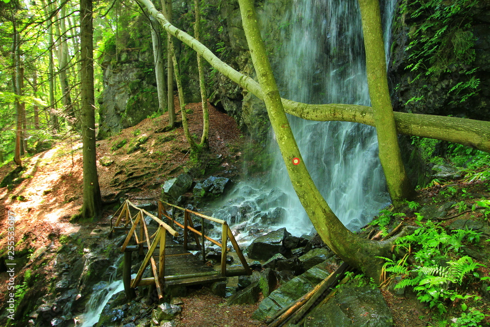 Canvas Prints Waterfall in the forest