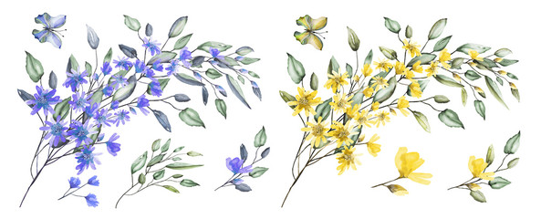 watercolor drawing of twig with leaves and flowers. Botanical illustration composition of yellow flowers and wild herbs.