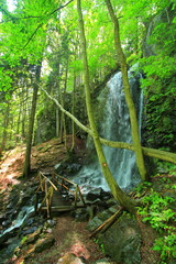Waterfall in the forest