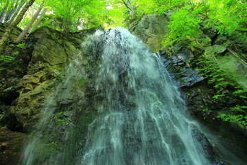Waterfall in the forest