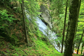 Waterfall in the forest