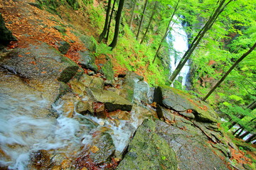 Waterfall in the forest