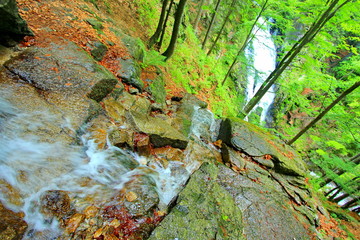Waterfall in the forest
