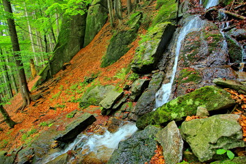 Waterfall in the forest