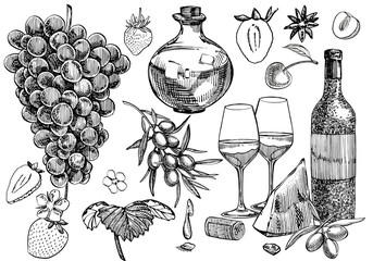 Set of vine products. Illustration in sketch style. Hand drawn design elements. Isolated on white background. Engraving style illustrations. Artichokes, a bottle of wine, cheese and strawberries.