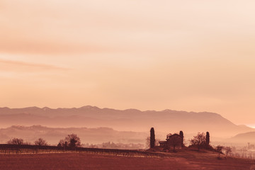 Cold misty morning in the vineyards of Italy