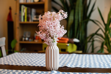 Pink  hyacinth blossom in a small pink vase