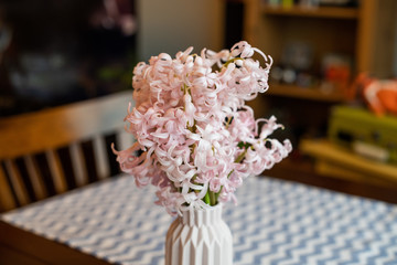 Pink  hyacinth blossom in a small pink vase