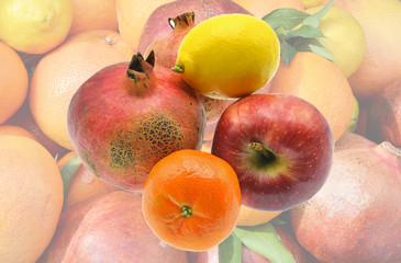 fresh fruits on fruits background