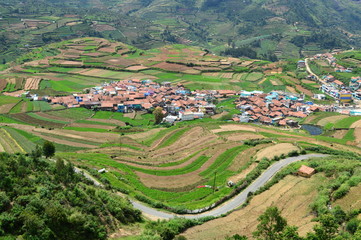 Poombarai Village and terraced farming in Kodaikanal