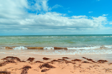 beach and sea