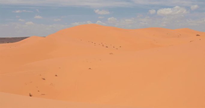 Sahara, Taghit, Alg&eacute;rie