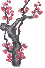 Fototapeta premium A branch of a blossoming sakura. Pink and red stylized flowers of plum mei and wild cherry . Watercolor and ink illustration of tree in style sumi-e, go-hua, u-sin. Oriental traditional painting. .