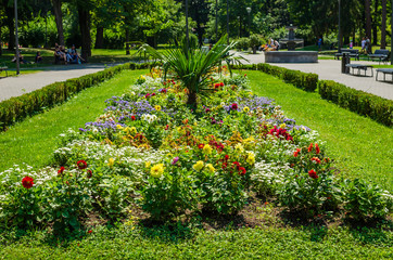 Obraz premium Different kind of flowers in a public park - Vrnjacka Banja, Serbia