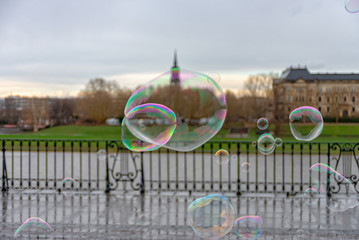 Soap bubbles on the Elbterrassen in Dresden