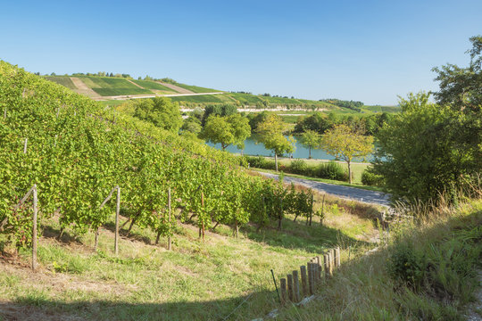 The Moselle valley with vineyards at Stadtbredimus marking the border between Luxembourg and Germany