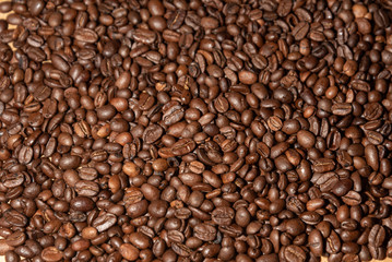 roasted brown coffee beans
