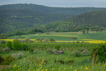 Sommer im Spessart