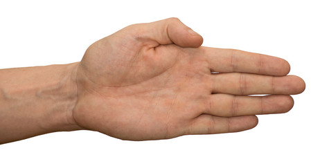 Hand gesture where the palm is open, but the fingers are pressed to each other. Hand on a white background, isolate.
