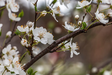 The beginning of the spring in the city