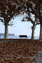 einsame leere Bank am See