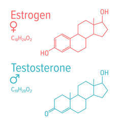 Estrogen and testosteron vector chemical formulas. Male and female steroid hormones. Chemical molecular formula.